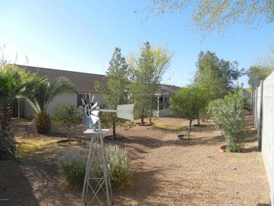 backyard (3)