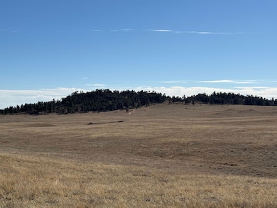 2424 Hwy 287, Tie Siding, WY 82070 - photo 7