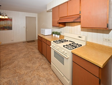 unlisted-address, Elk Grove Village, IL 60007 - photo 7