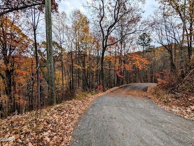 2317 Grey Fox Run, Sevierville, TN 37862 - photo 3