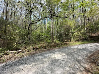 LOT 20 Big Ben Rd, Ellijay, GA 30540 - photo 2