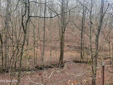 0 Mt Olive unit 1323665, Andersonville, TN 37705 - photo 4