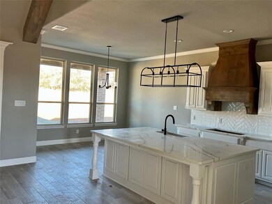 1019 Hennesay Park, Springtown, TX 76082 - photo 4