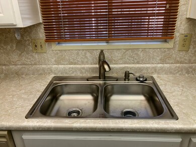 Sink, Faucet, and Diisposal