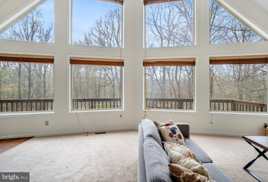 527 High Knob Rd, Front Royal, VA 22630 - photo 4