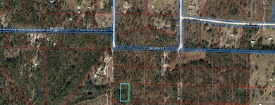 0 SE 120 Ave unit 850156, Morriston, FL 32668 - photo 5