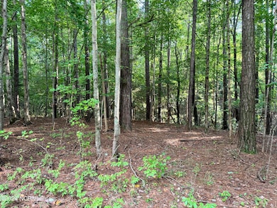 B65F3953-C6A7-486D-9078-21392779CF92