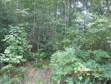 View of the land
