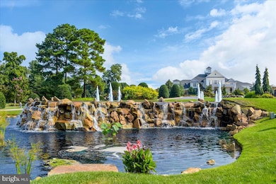 32578 Long Spoon Way unit 3131, Millsboro, DE 19966 - photo 3