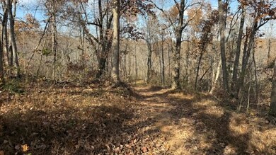 527 Chestnut Grove Cemetery Rd, Bonnieville, KY 42713 - photo 5