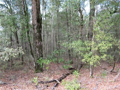 0 45th Rd unit G4837925, Branford, FL 32008 - photo 6