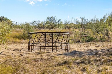 Berry Dairy Rd, Bryson, TX 76427 - photo 5