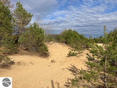 Parcel F-3 N 2 1 2 Rd, Hanover Township, MI 49620 - photo 6