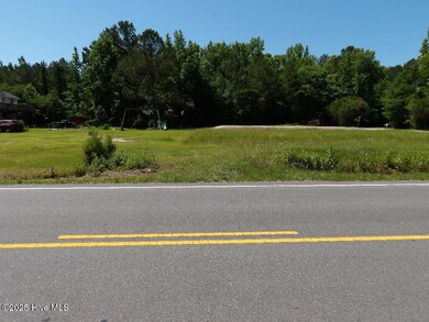 0 N Carolina 210, Rocky Point, NC 28457 - photo 4