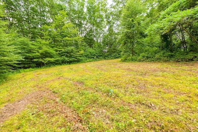 0 Aplin Hill Ln, Woodstock, CT 06282 - photo 6