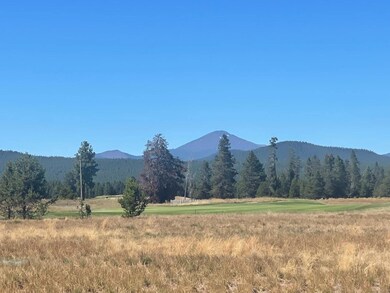 56565 Nest Pine Dr unit Lot 47, Bend, OR 97707 - photo 3