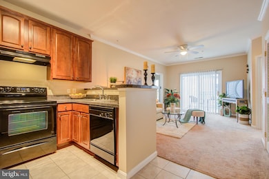 15614 Everglade Ln unit 404, Bowie, MD 20716 - photo 5