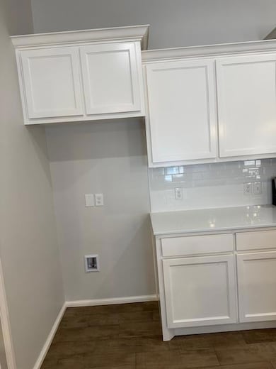 Washroom with dark wood-type flooring and baseboards