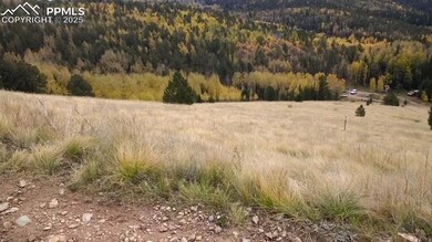 View of mountain backdrop featuring a heavily wood