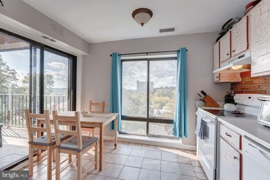 122 Roberts Ln unit 401, Alexandria, VA 22314 - photo 4