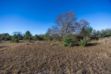 11253 Killarney Dr, Canadian Lakes, MI 49346 - photo 2