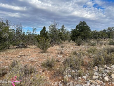 53784 Juniper Way, Seligman, AZ 86337 - photo 3