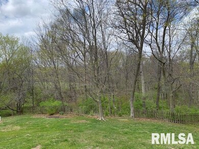 1456 Perbix Rd, Chapin, IL 62628 - photo 5