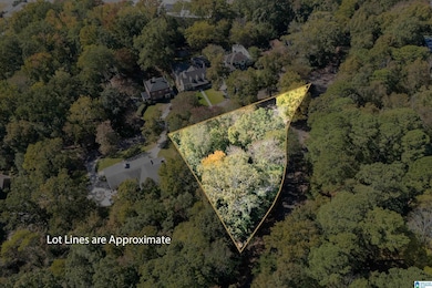 2000 Warwick Ct, Birmingham, AL 35209 - photo 2