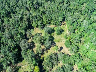 812 Hunters Trace, Crawfordville, FL 32327 - photo 6