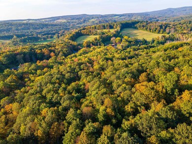 0 Pitts Rd unit 20232833, Chatham, NY 12136 - photo 7