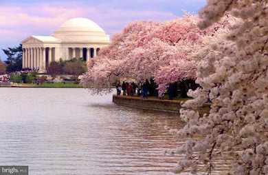 1807 Cool Spring Dr, Alexandria, VA 22308 - photo 2