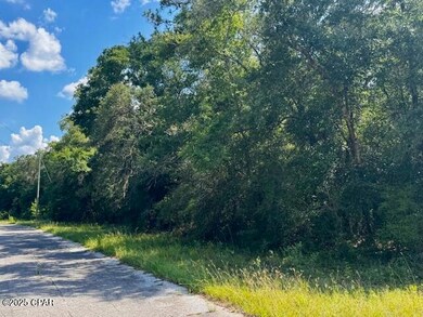 Lot 37 Diane Place, Chipley, FL 32428 - photo 2
