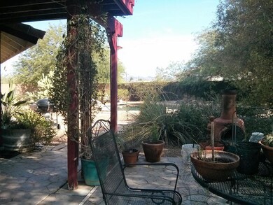 backyard5