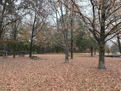 30026 Wren Cemetery Rd, Aberdeen, MS 39730 - photo 3