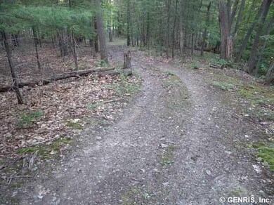 Land/Lot. You already have a driveway well into th
