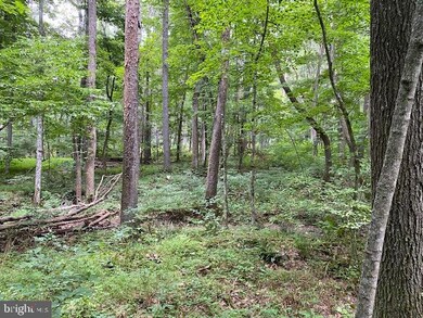 9.89Acs Rough Run Rd, Eastern, WV 26802 - photo 3