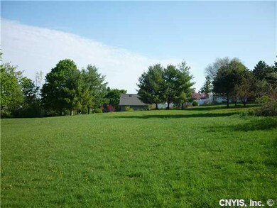 Yard. View of yard looking North.  Orientation of 