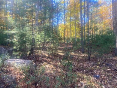 0 Yew St White Ct (Lot 1) unit 73304928, Douglas, MA 01516 - photo 6