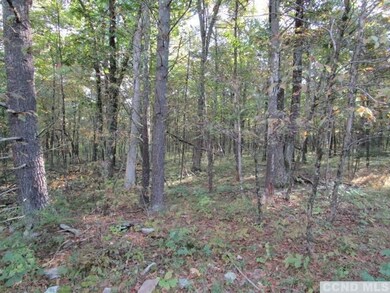 0 Cairo Junction Rd unit 123362, Catskill, NY 12414 - photo 7