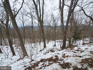 Lot 847,848,849 Blue Mountain Rd, Riverton, VA 22630 - photo 3