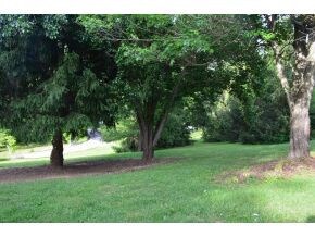 120 Hammons Rd, Watauga, TN 37694 - photo 7