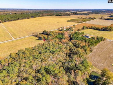 536 Elliott Hwy, Wisacky, SC 29010 - photo 7