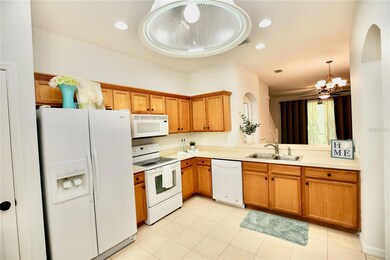6255 Duck Key Ct, Tampa, FL 33625 - photo 4