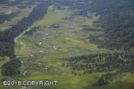 Kenny Creek 3
