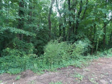 311AA Shirley Rd, Piedmont, SC 29673 - photo 3