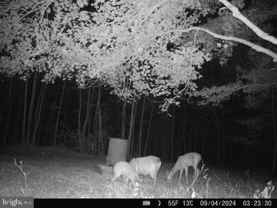 0 Aireys Rd unit MDDO2008728, Cambridge, MD 21613 - photo 4