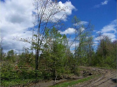 Land/Lot.