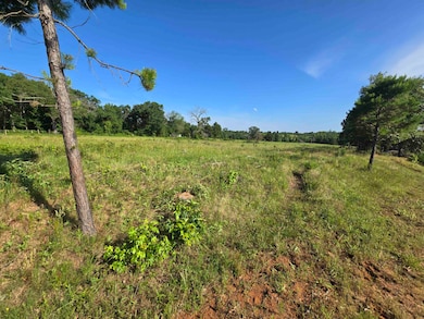 0 Tbd Private Road 4079, Gilmer, TX 75644 - photo 7