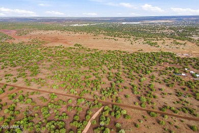 TBD Silver Lake Blvd 16 32 Acres -- unit L & N, Show Low, AZ 85901 - photo 2