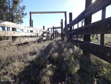 0 Tbd unit 304-11-016E 205653, White Mountain Lake, AZ 85912 - photo 6